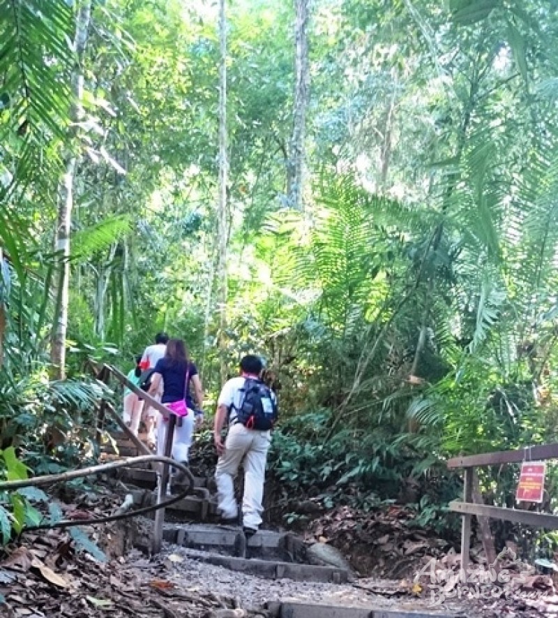 2D1N KINABALU PARK & PORING HOT SPRING TOUR